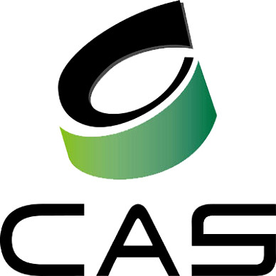 IEEE CAS Innovation Award